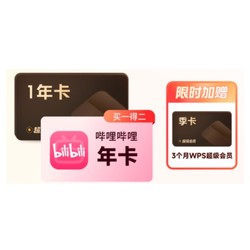 PLUS会员：WPS 金山软件 超级会员15个月卡+哔哩哔哩大会员年卡