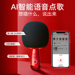 唱吧 小巨蛋 G2 麦克风