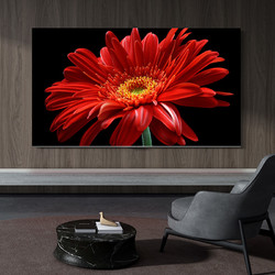 TCL 85T8G Max 85英寸 QLED量子点4K高清智能网络平板液晶电视机