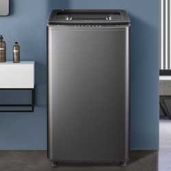 LittleSwan 小天鹅 波轮洗衣机全自动 TB100ACTEC