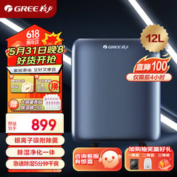 GREE 格力 抽湿机/除湿机 除湿量12升/天 家用轻音卧室办公室地下室低噪干衣除湿器升级负离子 (DH12ENA1A)