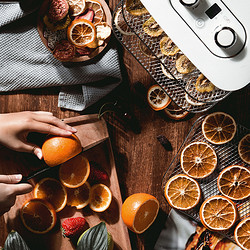 Morphy Richards 摩飞 MR6255 干果料理机 蓝色