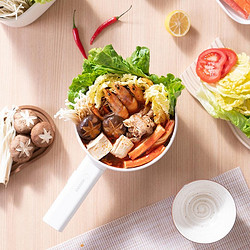 WANMI 顽米 HK-DZG1502Z 多用途锅 白色