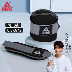 PEAK 匹克 跑步负重沙袋 隐形绑腿绑手腕健身训练负重沙袋铁砂装 2只装共1KG