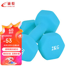 CHENG YUE 诚悦 彩色浸塑哑铃男女家用健身塑型器材组合套装2kg*2宁静蓝色CY-130