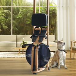 XIAO MO 小莫 Pro 水阻划船机