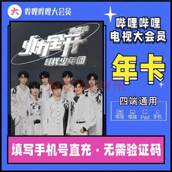 bilibili 哔哩哔哩 电视大会员12个月 vip会员年卡