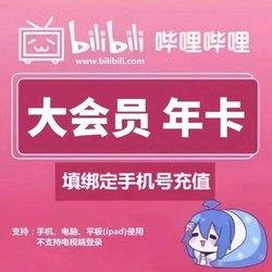 bilibili 哔哩哔哩 大会员年卡 12个月