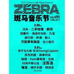 阜阳站 | 2024斑马音乐节（沉舟乐队/二手玫瑰/郭顶/汪苏泷/房东的猫）