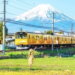 有效期有半年！日本东京/大阪/北海道/名古屋一日游通兑劵 含季节限定行程