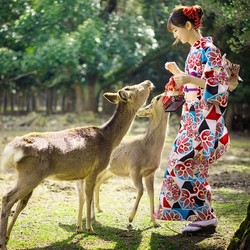 一手送签，拒签全退！上海送签 日本自由行个人旅游五年多次签证（支持江浙沪赣皖）