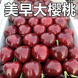 巧鲜惠 国产车厘子 2.5kg 单果28-30mm 山东美早大樱桃
