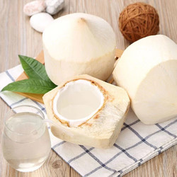 Kaooseen 靠森 海南椰青  易开椰9个装900-1500g