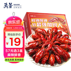 万景 麻辣小龙虾700g/盒 净虾385g 3-5钱/只 20-24只油泡麻辣虾