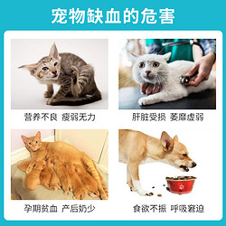88VIP：LANBOTO 朗博特宠物补血口服液肝精猫咪狗狗50ML产后孕期贫血补铁生血护肝