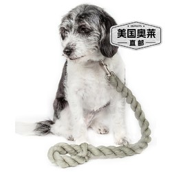 PET LIFE \\\'Tough-Tugger\\\' 工业强度减震编织宠物狗牵引绳 - 橄