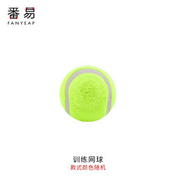 番易 VV宠物玩具球狗狗铃铛球发光发声耐咬磨牙逗狗自嗨解闷宠物犬用品 训练网球1个(颜色随机)
