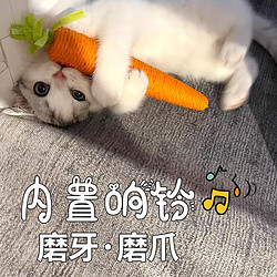 派乐特 猫玩具可爱胡萝卜自嗨解闷耐咬磨牙磨爪带铃铛逗猫棒幼猫猫咪用品