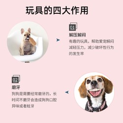 派乐特 宠物狗玩具狗狗金毛泰迪互动磨牙解闷耐咬 绳结2件套