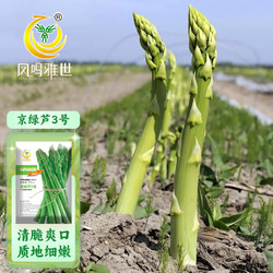 凤鸣雅世 京绿芦3号芦笋种子10粒