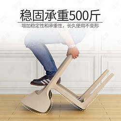 雷度 LEIDU 雷度 塑料椅子餐椅家用加厚靠背凳子网红现代简约书桌椅北欧商用化妆椅