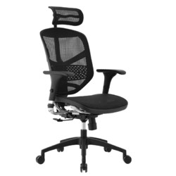 Ergonor 保友办公家具 保友金卓b2/金卓雄鹰 人体工学椅 黑色 尼龙脚