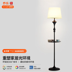 乔乐 落地灯全光谱客厅书房现代简约北欧极简轻奢置物卧室灯欧式立式灯 托盘款（配送12W三色光源）