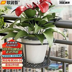 ORANGE 欧润哲 阳台花架家用铁艺悬挂式花盆挂架栏杆绿萝花架 黑色加固加粗款