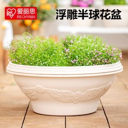 IRIS 爱丽思 花盆多肉植物盆仿陶瓷树脂花盆绿萝花盆绿植花盆碗状花盆