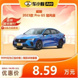 BUICK 别克 威朗 2023款 Pro GS 猎风版