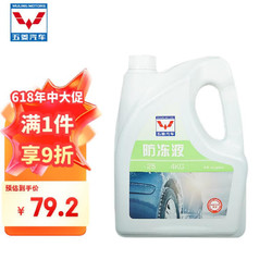 五菱原厂防冻液冷却液 -25℃ 4KG 荣光之光宏光宝骏车系等 五菱全系