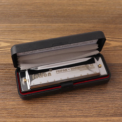 番易 布鲁斯口琴10孔专业演奏级十孔小型C调儿童初学男士女初学蓝调小