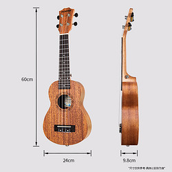 AODSK 奥德斯克（AODSK）AUS-P06尤克里里乌克丽丽