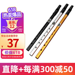 Range 音域 爱尔兰哨笛学生演奏初学入门六孔竖笛C调两只高音直笛锡笛乐器