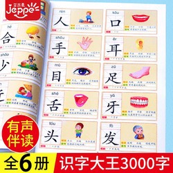 JEPPE 艾杰普 套装6册 识字大王3000字 识字书幼儿识字认字大王幼儿园六一儿童节礼物早教启蒙教材