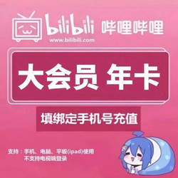 bilibili 哔哩哔哩 大会员12个月B站