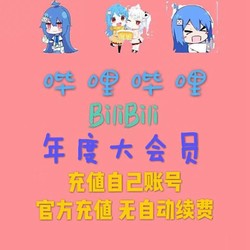 bilibili 哔哩哔哩 会员B站大VIP会员1年卡