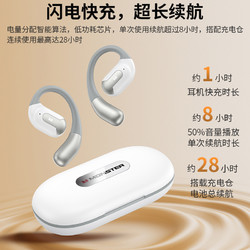 MONSTER 魔声 2024新款 魔声AC317 蓝牙 5.4耳挂式耳机