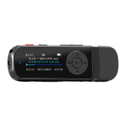 aigo 爱国者 MP3-100 U盘式音乐播放器 32GB