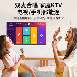 88VIP：金运 K9话筒音响一体麦克风儿童家庭ktv家用蓝牙音箱