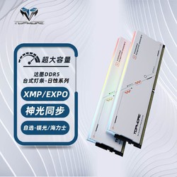 百亿补贴：TOPMORE 达墨 日蚀灯条套条argb 16g*2镁光颗粒DDR5 6000mhz
