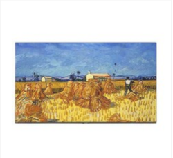 SKYWORTH 创维 A7D系列 85A7D 电视 85英寸