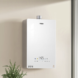 Haier 海尔 JSQ31-16KE5FXPGU1 无级变频水伺服燃气热水器 13L 天然气 31kW