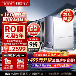 A.O.SMITH 史密斯 佳尼特蓝鲸系列净水器 家用厨下直饮净水机蓝鲸2000 2升/分钟