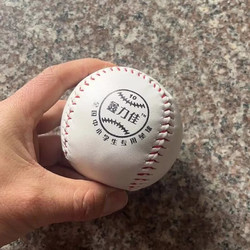 others 其他 小学生10寸垒球9号棒球软硬实心儿童用棒球比赛训练打棒 垒球2个