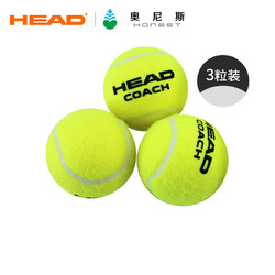 HEAD 海德 单人初学者专业训练网球练习用球无压网球 训练球3颗
