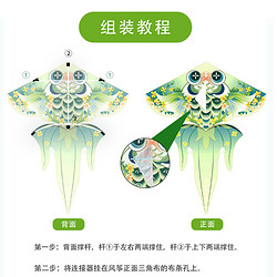 CAWNPECHIN 康百雀 网红金鱼风筝儿童户外微风易飞2024年新款潍坊大人专用带轮盘六一