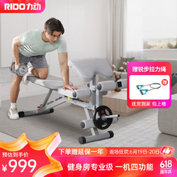 RiDO 力动康体 力动（RIDO）多功能哑铃凳健身椅仰卧起坐辅助器卧推凳家用健身器材TD51