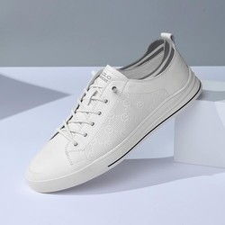 goldlion 金利来 透气男款板鞋韩系男鞋柔软男士休闲鞋