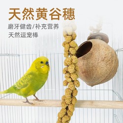 ZAIZAI 再再 鹦鹉天然谷穗小米带壳黄谷子玄凤虎皮鸟粮鸟食饲料文鸟珍珠鸟零食